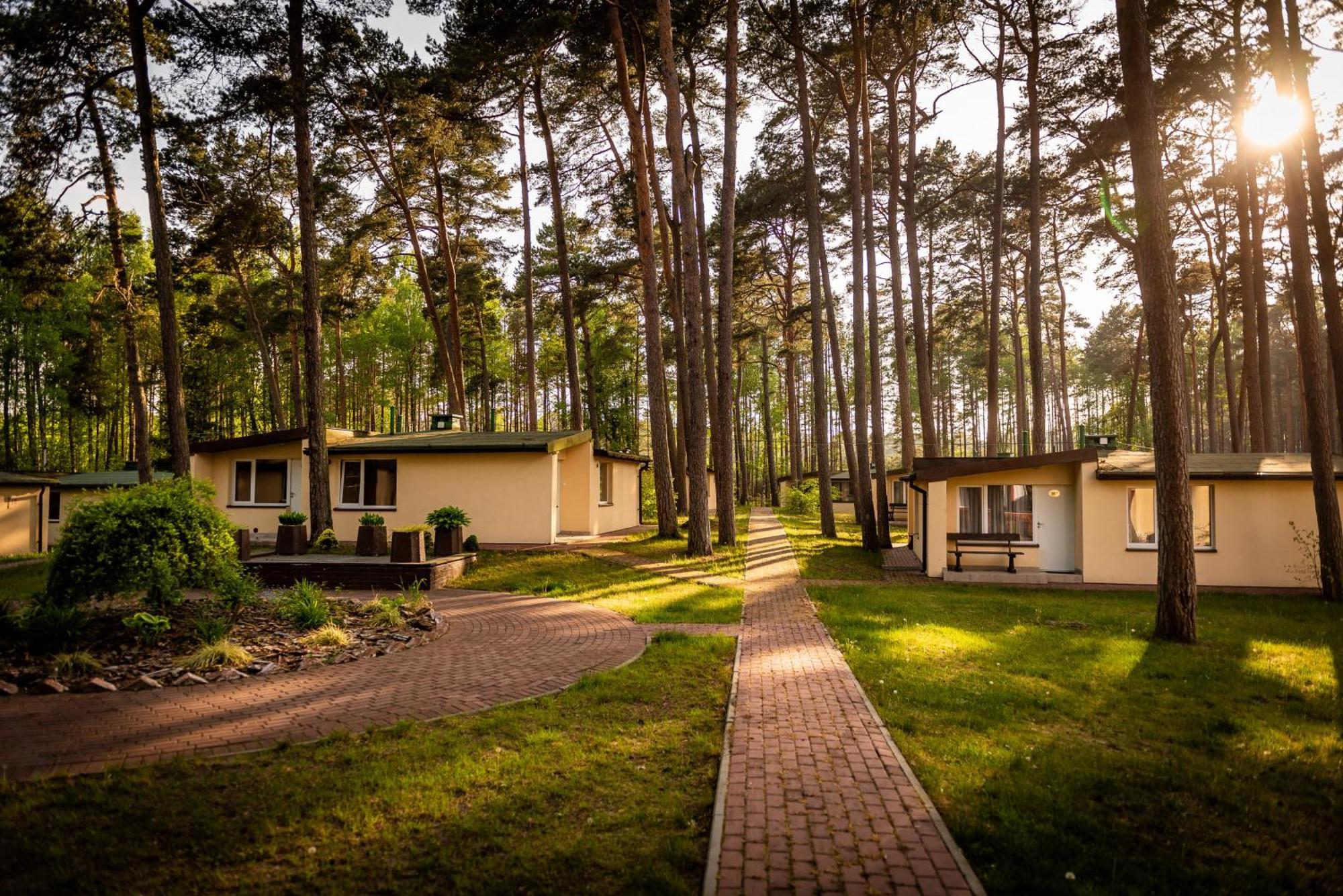Domki Lesne Uroczysko Ustka Esterno foto